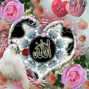 Meet your Posher, Wafa